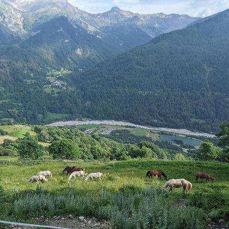 Gite Du Bois De L'Ours ออร์ซิแยร์ ภายนอก รูปภาพ